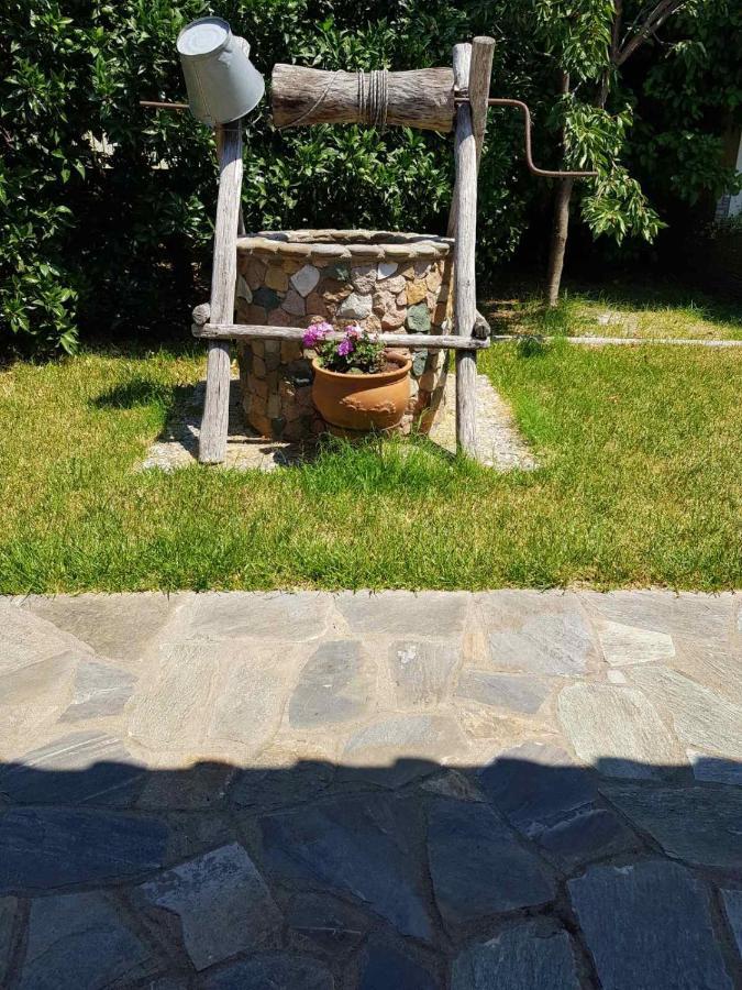 Lemon Flowers Apartments Nea Skioni Dış mekan fotoğraf